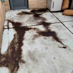 Leaf Removal by Clarks lawn care reviewed on July 28, 2022