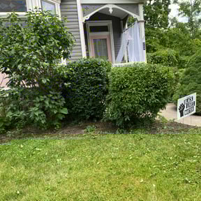 Bush Trimming by Phillips4seasons reviewed on April 25, 2025