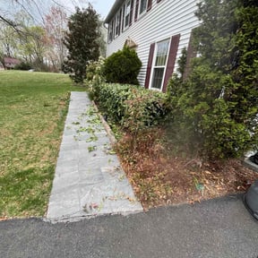 Bush Trimming by LoneStar Mow Pros reviewed on June 22, 2022