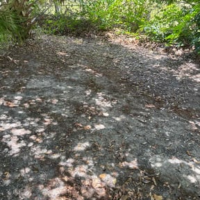 Leaf Removal by Lawn Life Mowing LLC reviewed on December 12, 2024