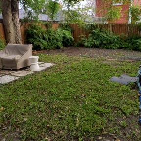 Leaf Removal by Irvine Lawn Service reviewed on August 13, 2025