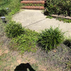 Cleanups by A&S best landscaping reviewed on June 26, 2022