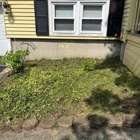 Cleanups by Flow to the mow reviewed on June 23, 2022