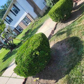 Flower Bed Weeding by Jeremy Faulk LLC reviewed on June 13, 2022