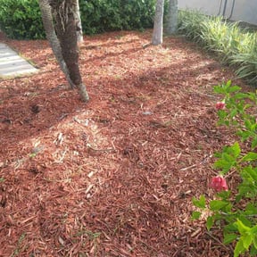 Flower Bed Weeding by The Lawn Salon reviewed on June 18, 2025