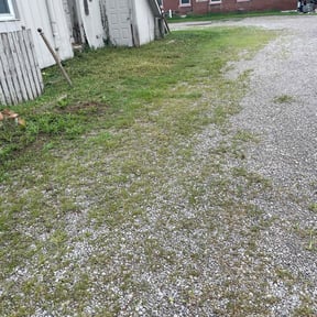 Weeding by Green Missions Landscaping LLC reviewed on July 13, 2022