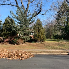 Cleanups by Arts Landscaping & Maintenance reviewed on May 17, 2022