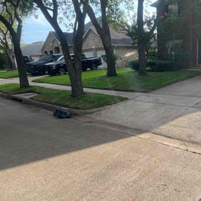 Leaf Removal by Oscar Bustos Llc reviewed on July 1, 2022