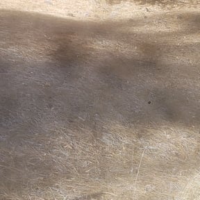 Cleanups by Tommy T&#039;s Quick Qlips reviewed on May 19, 2025