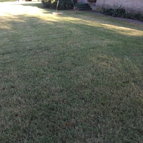 Bush Trimming by Joe's Tree & Lawn Services reviewed on November 5, 2019