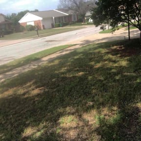 Leaf Removal by OVT Landscaping reviewed on May 9, 2022