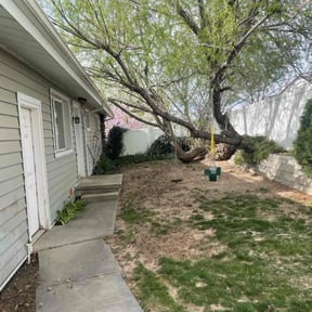 Leaf Removal by Cox and son lawn care reviewed on July 3, 2022