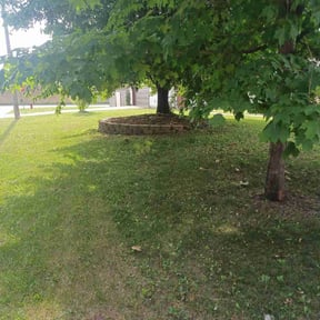 Flower Bed Weeding by K-McG'S Outdoor solutions reviewed on October 30, 2024