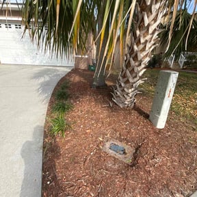 Leaf Removal by Willie Lawn Care and More LLC reviewed on August 5, 2022