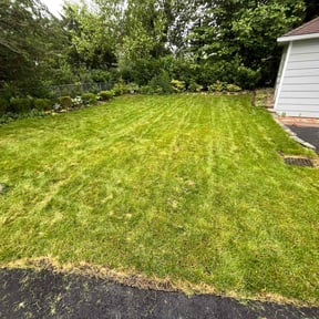 Cleanups by George's Lawn Care reviewed on July 29, 2022