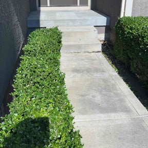 Bush Trimming by Quality Clean Kutz reviewed on October 20, 2021