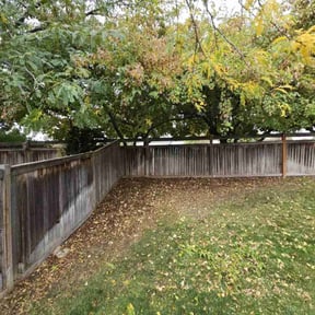 Cleanups by Lindsay’s lawncare reviewed on November 8, 2021