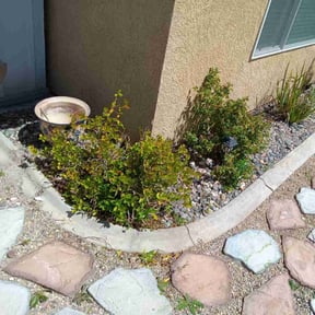 Bush Trimming by Ramos landscape care reviewed on November 4, 2022