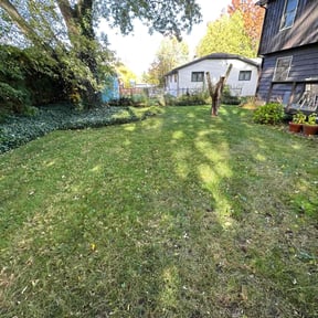 Leaf Removal by Landscaping reviewed on April 24, 2025