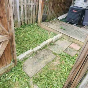 Weeding by Paul Landis Dba Pro Turf Landscape and Lawn care reviewed on August 22, 2024