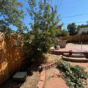 Bush Trimming by Hernandez Family Lawn reviewed on June 13, 2025
