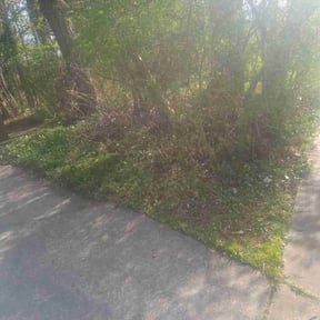 Cleanups by Bonzai landscaping reviewed on June 2, 2022