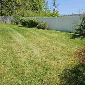 Bush Trimming by Scarlet and gray Lawn Care Management LLC reviewed on October 23, 2021