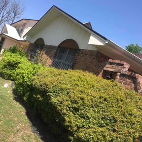 Bush Trimming by Brothers lawn care reviewed on November 20, 2020