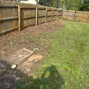 Leaf Removal by Dortch Demo and cleanup reviewed on June 26, 2022