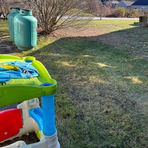 Leaf Removal by ALTEX reviewed on June 25, 2022