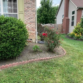 Flower Bed Weeding by Ategramax reviewed on April 25, 2022
