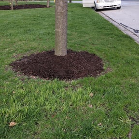 Mulching by Moor Mowing & Gardening Care reviewed on March 13, 2022