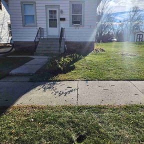 Leaf Removal by Blossom Lawn Care reviewed on May 26, 2025