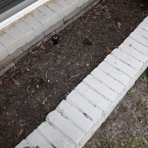 Flower Bed Weeding by Excelastan L.L.C. reviewed on May 23, 2025