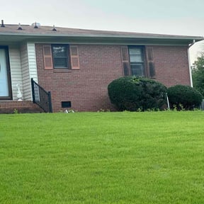 Bush Trimming by Payless Concrete LLC reviewed on August 9, 2022