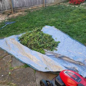 Bush Trimming by Kountry Bros Landscaping reviewed on July 25, 2022