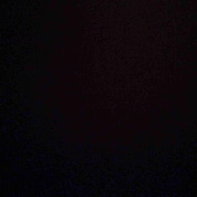 Bush Trimming by MR LAWN reviewed on October 21, 2024