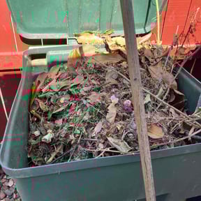 Cleanups by Da Munchez/ High 5 landscaping reviewed on July 10, 2022