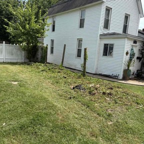 Weeding by Parker services reviewed on May 20, 2025