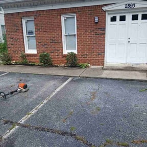 Bush Trimming by Coates Cutz Complete Lawn Care reviewed on May 13, 2022