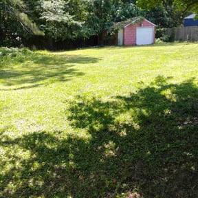 Bush Trimming by Field of Dreams Landscaping reviewed on March 6, 2025