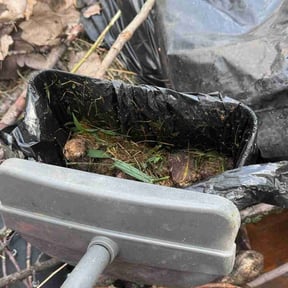 Cleanups by Slick Lawns reviewed on July 19, 2022