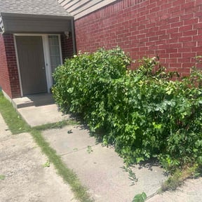 Bush Trimming by Oklahoma's Best Lawn Care reviewed on July 9, 2022