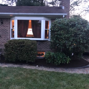 Landscaping by AP Landscapers reviewed on September 3, 2024