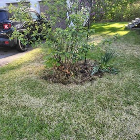 Cleanups by Jackson Enterprise Group, LLC reviewed on June 19, 2022