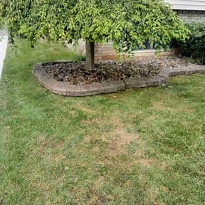 Flower Bed Weeding by Finley lawn care reviewed on May 13, 2022