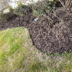 Flower Bed Weeding by Double F Lawns reviewed on January 30, 2025