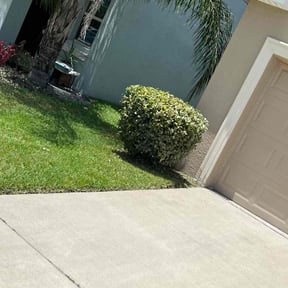 Bush Trimming by Ultimate lawn care & handy works reviewed on July 27, 2022