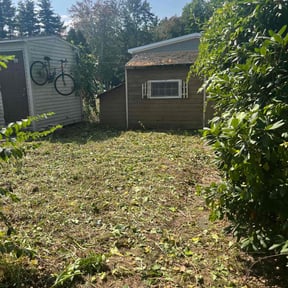 Cleanups by A job well done reviewed on July 18, 2022