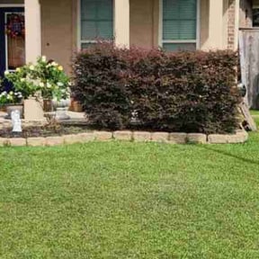 Bush Trimming by Chop Shop Lawns and Landscaping reviewed on April 25, 2025